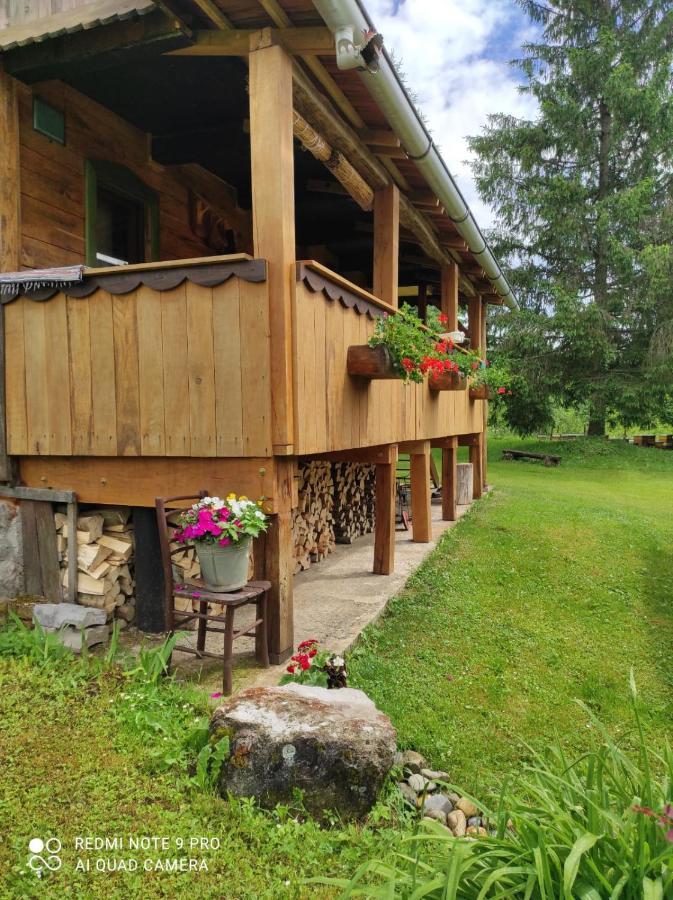 Villa Dorina Hiza Karlovac Exterior foto