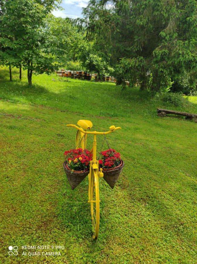 Villa Dorina Hiza Karlovac Exterior foto