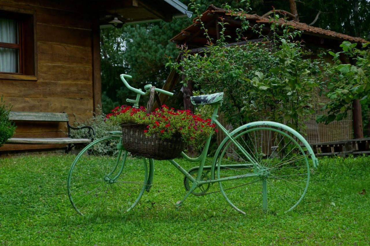 Villa Dorina Hiza Karlovac Exterior foto